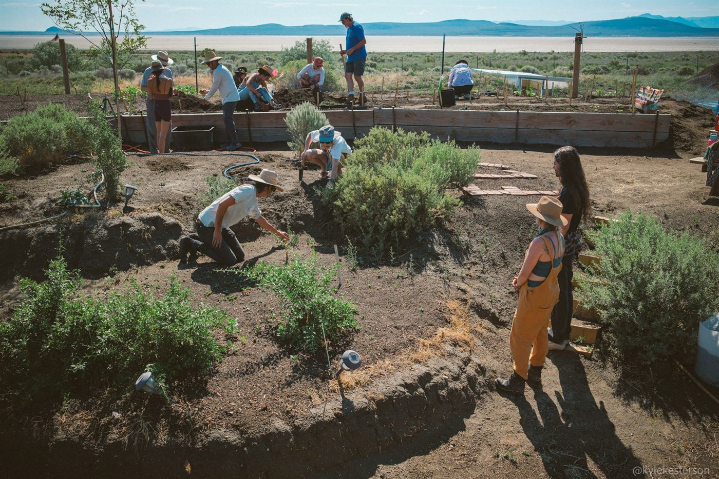 Building the gardens at Fly Ranch