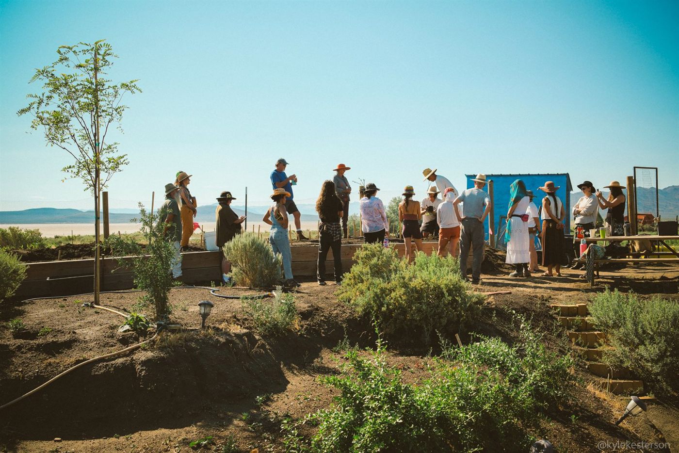 A planting workshop