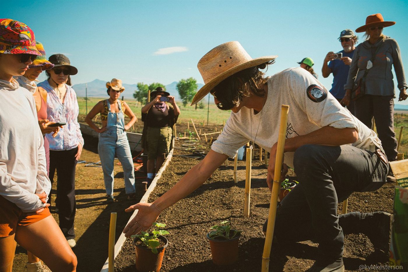 Tending the raised beds