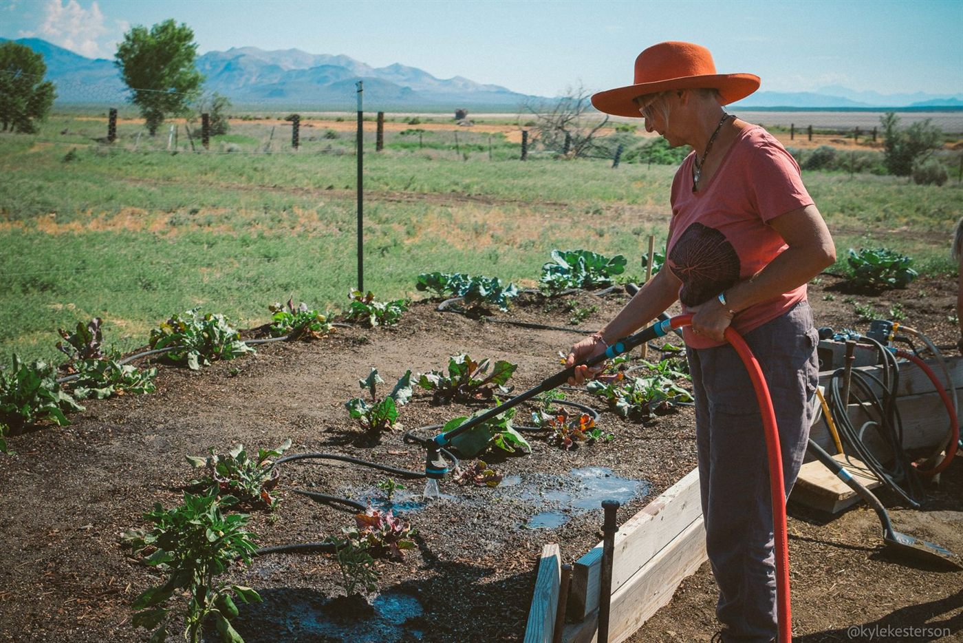 Tending vegetable beds at Fly Ranch